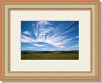 An example of the mount and frame option